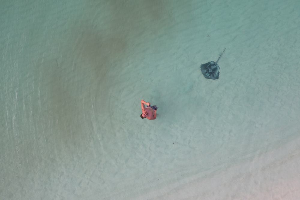 Snorkeling with a stingray by a sandy beach